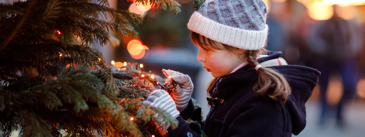 Shop kerstverlichting bij GroenRijk Assen!