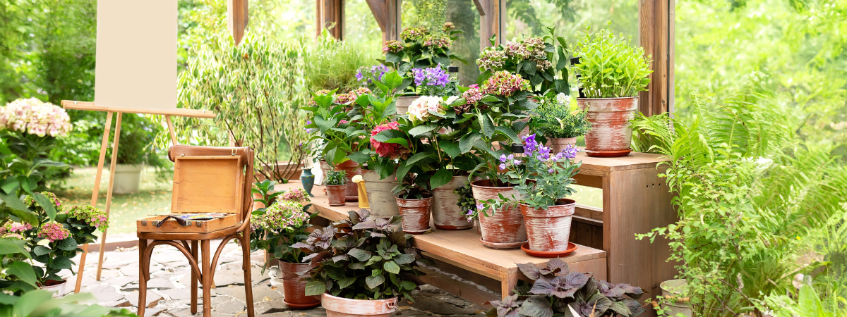 Bij GroenRijk Assen vind je tuinplanten die je buitenruimte omtoveren tot een levendig paradijs. 