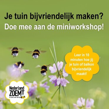 Mini Workshop 'Bijvriendelijke Tuin'