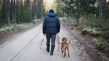 Workshop Wandelen zonder trekken