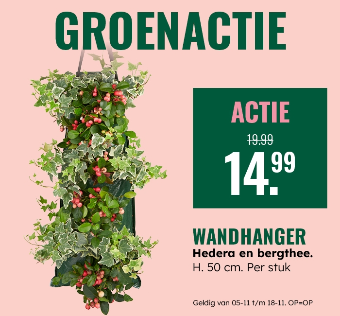 Groenactie: Wandhanger hedera en bergthee