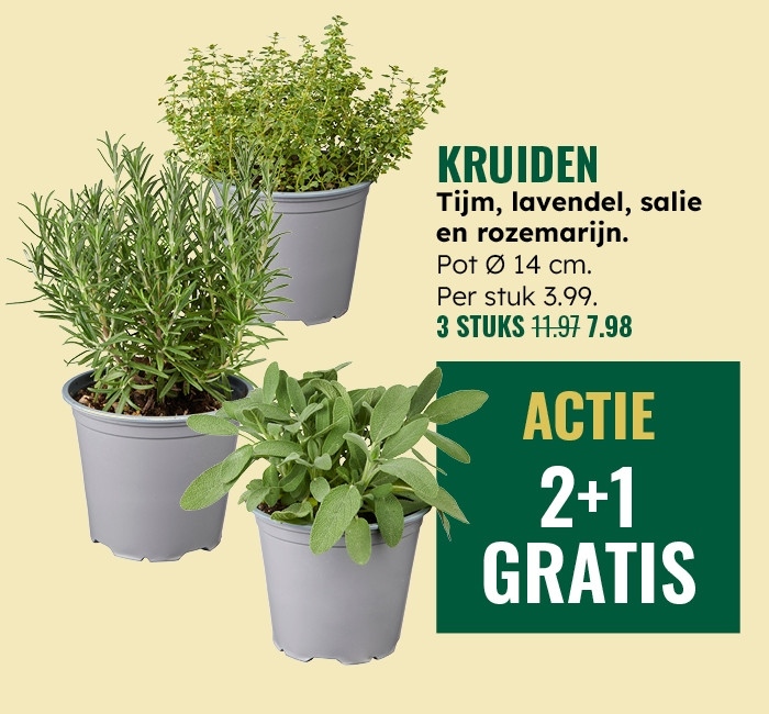 Weekaanbieding: Kruiden