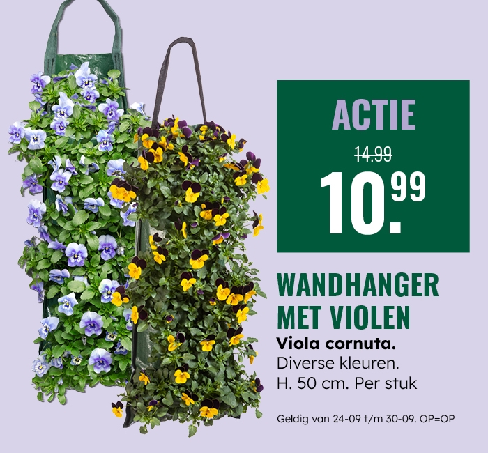Weekaanbieding: Wandhanger met violen