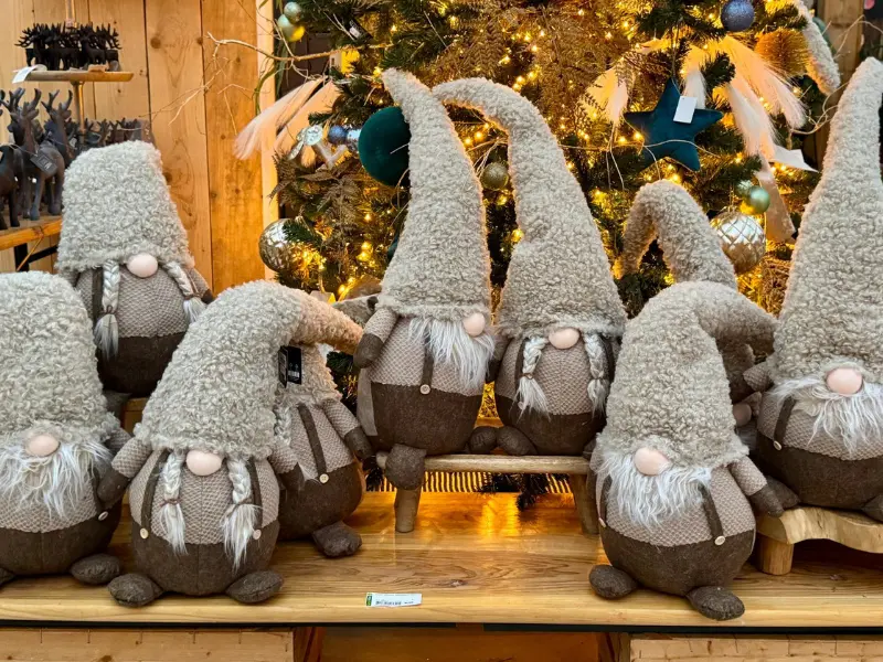 Kerstshow 2025: op reis! 35
