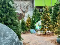 Kerstshow 2025: op reis!