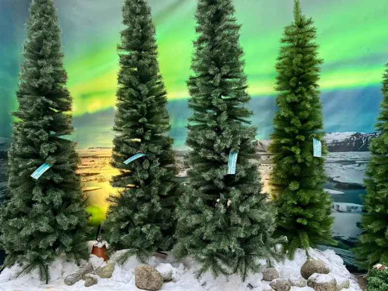 Kerstshow 2025: op reis! 29