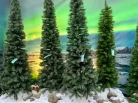 Kerstshow 2025: op reis!