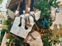 Kerstshow 2025: op reis!