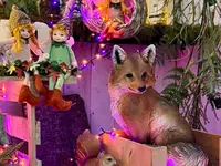 Kerstshow 2025: op reis!