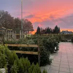 Tuincentrum