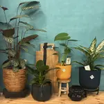 Tuincentrum