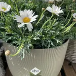 Tuincentrum