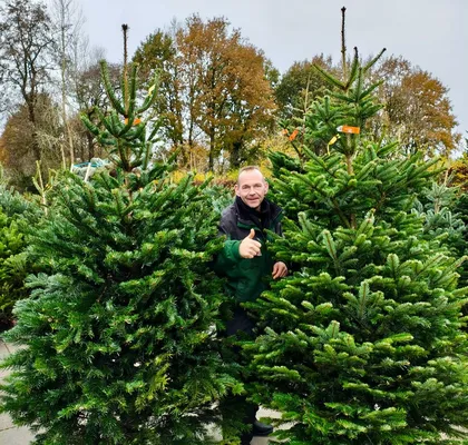 Kerst