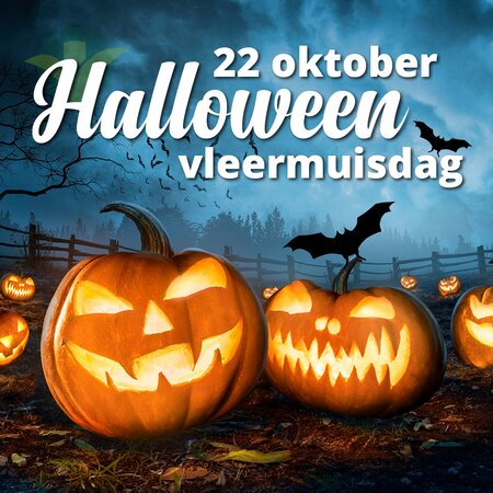 Workshop Pompoen versieren